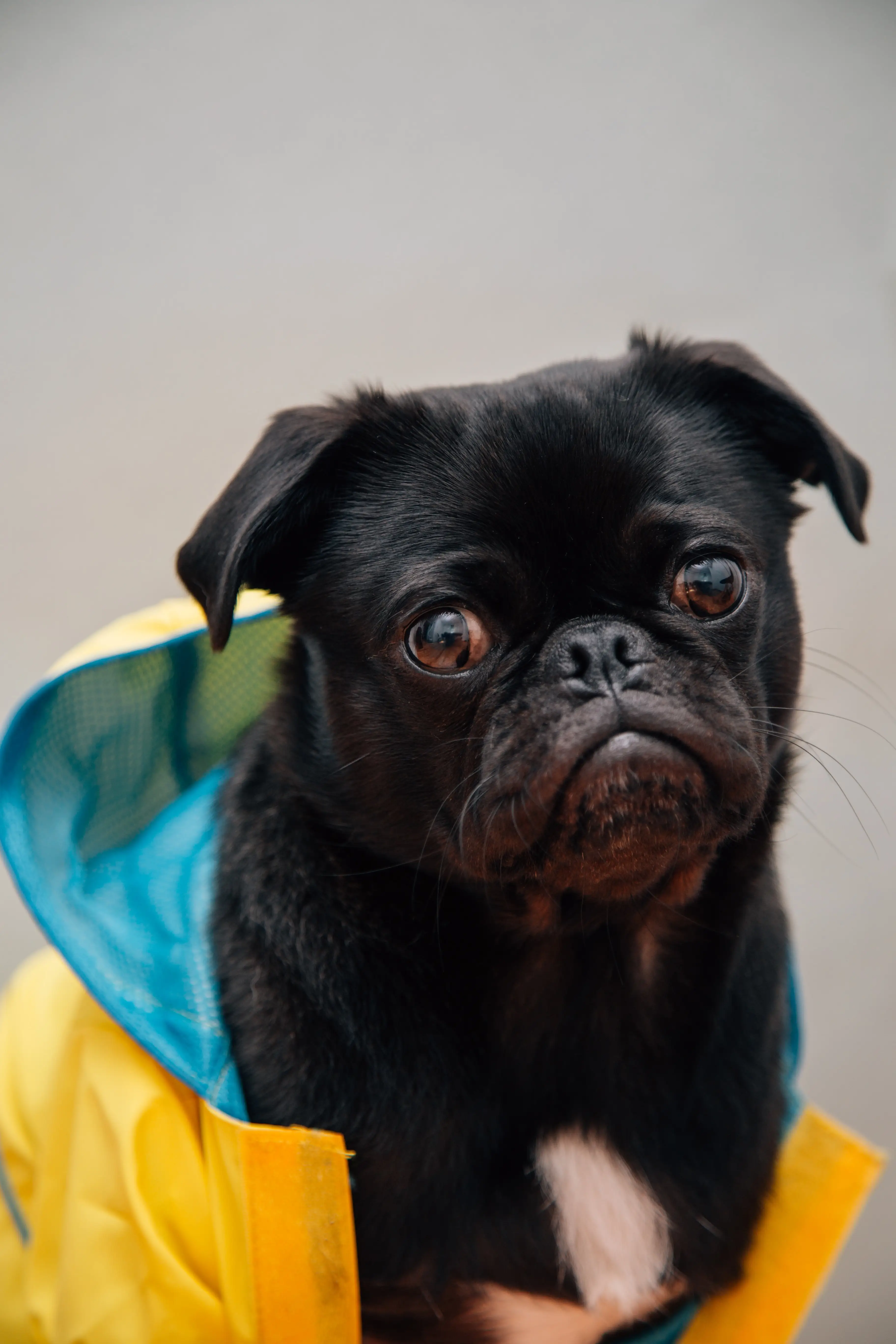 charles-Zb97slGwihg-unsplash